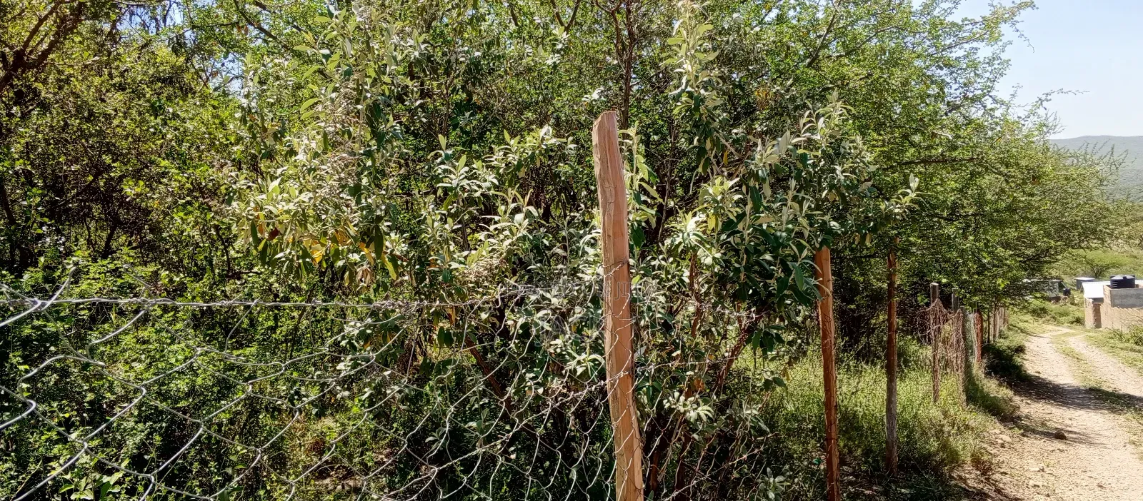 1 Acre for Sale - Kisamis, Corner Baridi