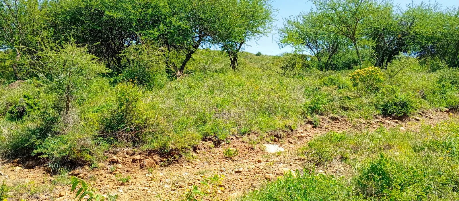 1 Acre for Sale - Kisamis, Corner Baridi