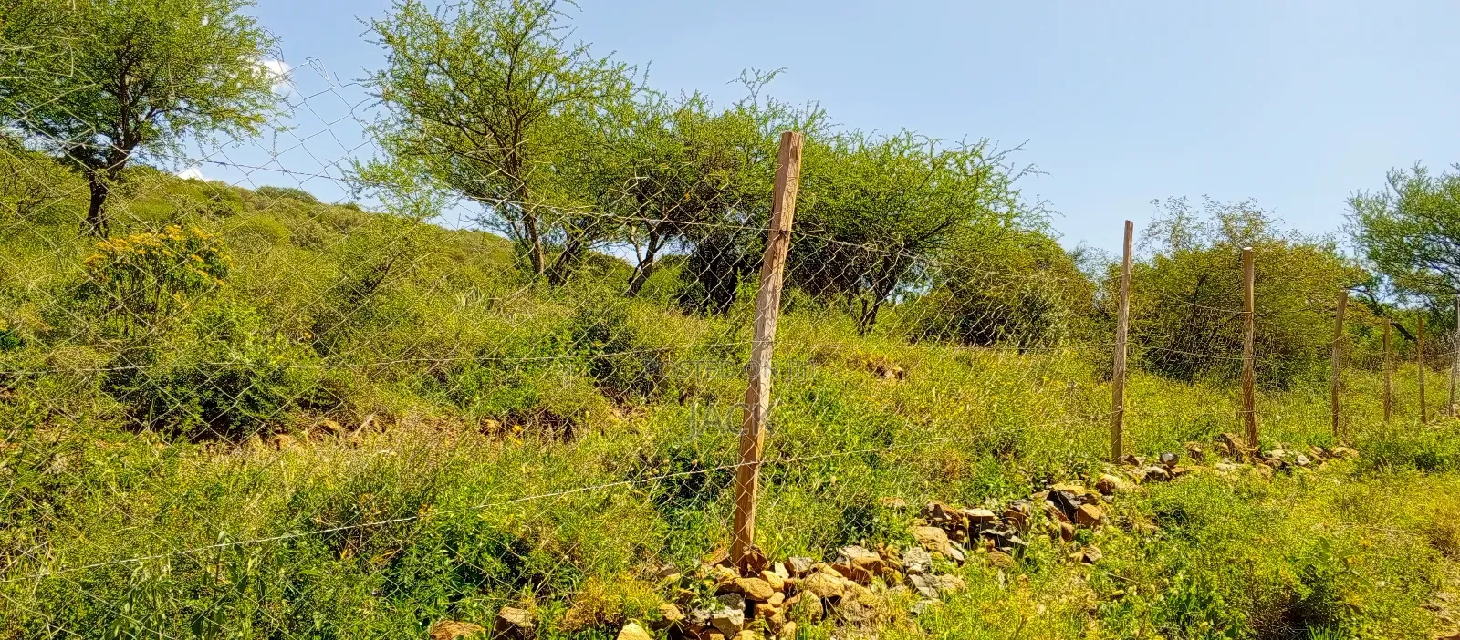 1 Acre for Sale - Kisamis, Corner Baridi