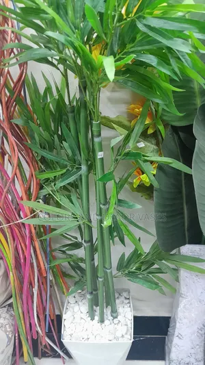 Bamboo Sticks 1.4m With Decorative Stones in Vase