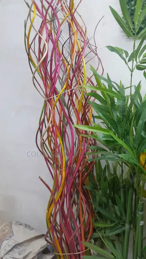 Coloured Sticks 1.5m Long Beautiful