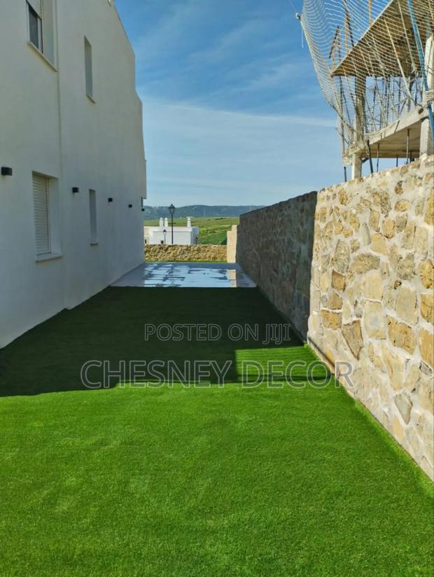 Backyard Grass
