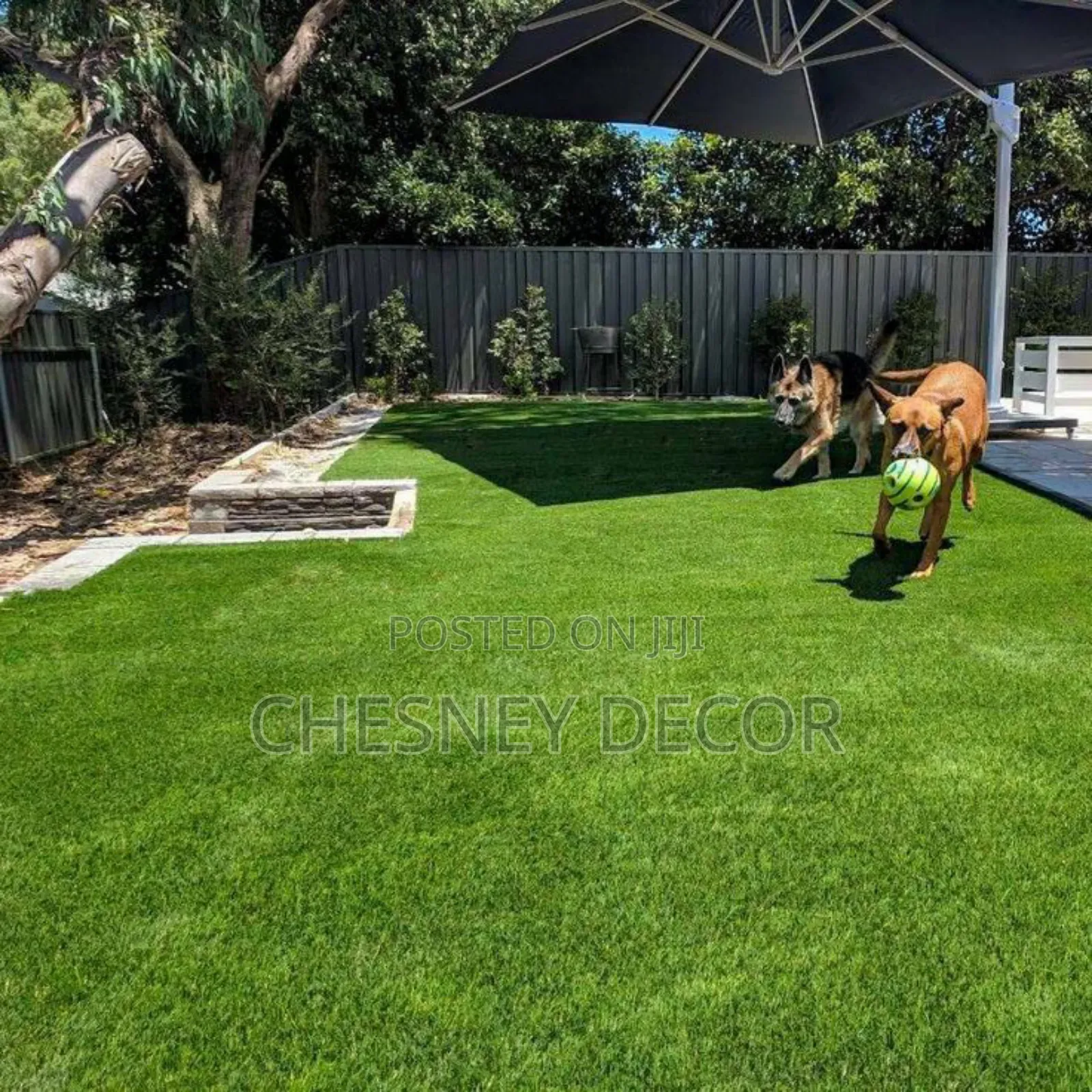 Petfriendly Turf