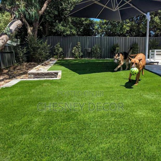 Petfriendly Turf - main view