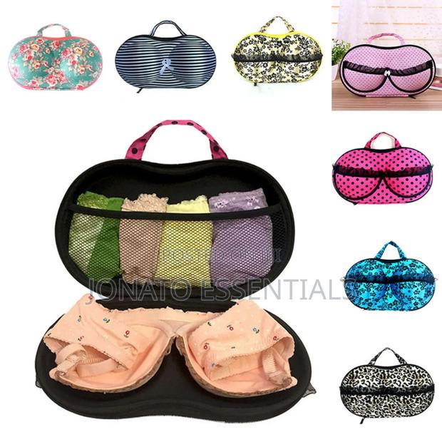 Bra Underwear Lingerie Case /Travel Bag Storage Box - main view