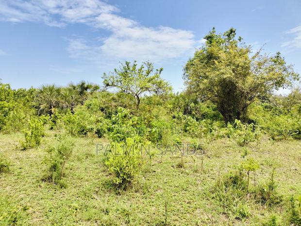 Muhaka Quarter Acre Plot - thumbnail 4