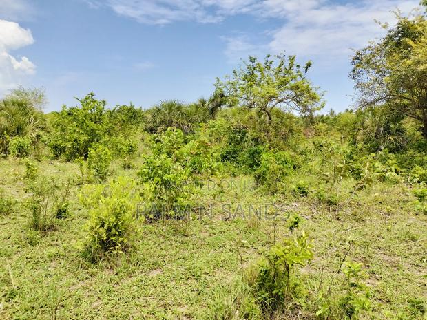 Muhaka Quarter Acre Plot - thumbnail 5