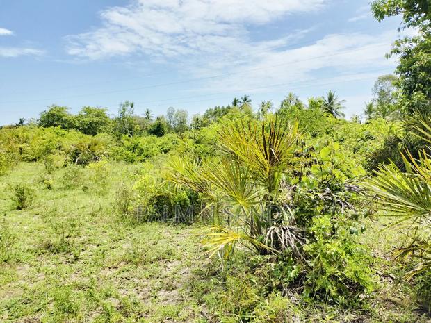 Muhaka Quarter Acre Plot - thumbnail 6