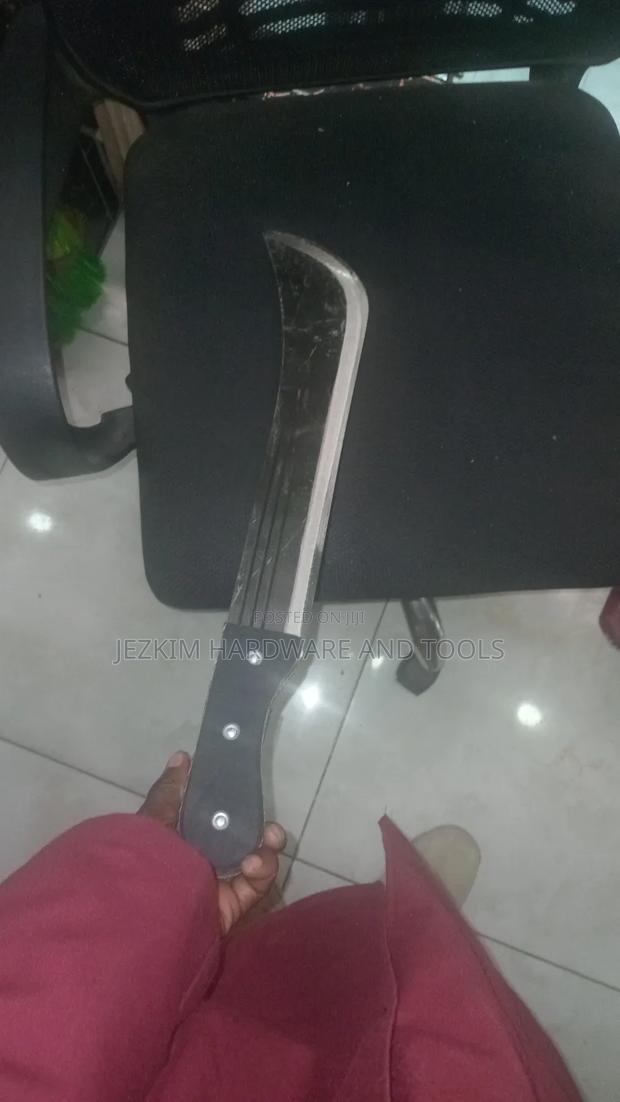 Crocodile Panga / Aligator Panga