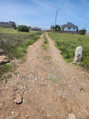 Ruiru Matangi - thumbnail 2