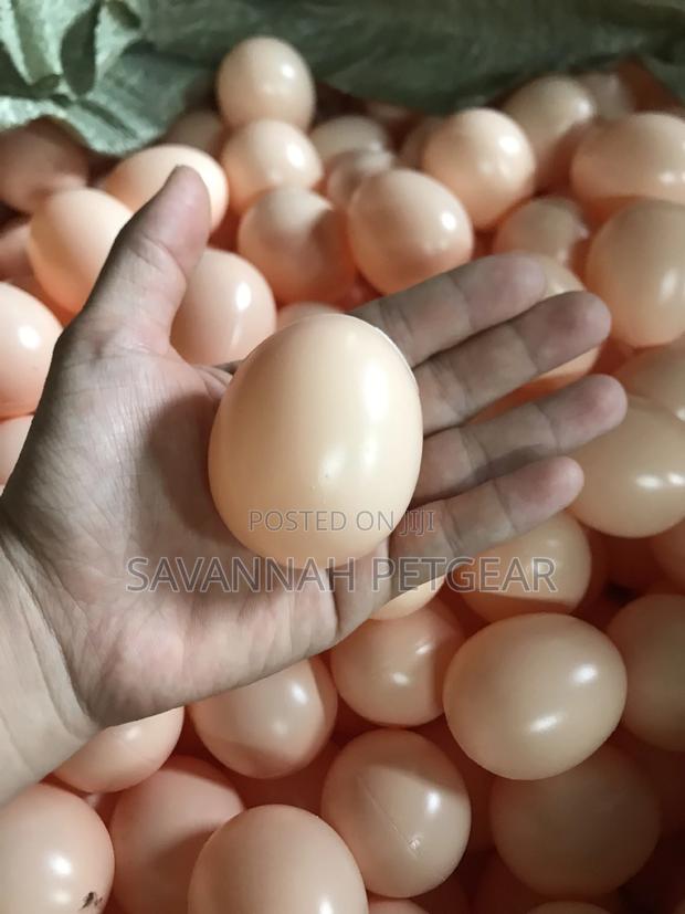 Rubber Dummy Eggs Farm for Laying Chicken Nesting -20pieces