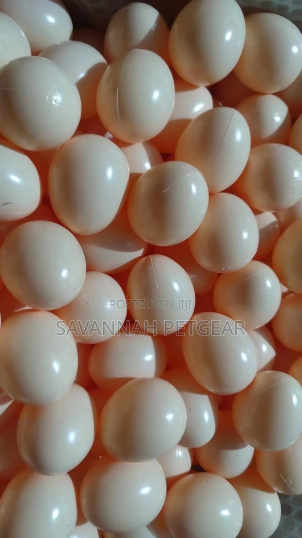 Rubber Dummy Eggs Farm for Laying Chicken Nesting -20pieces - thumbnail 2