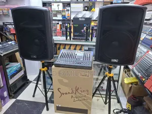 SOUNDKING Public Adress System Set