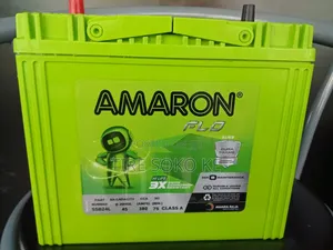 Amaron Ns60 (55b24)