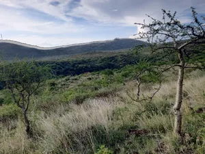 5 Acres Block for Sale in Limuru Ndeiya Nguirubi SGR Area