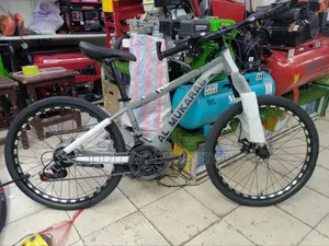Bike Size 24 With Disk Gear