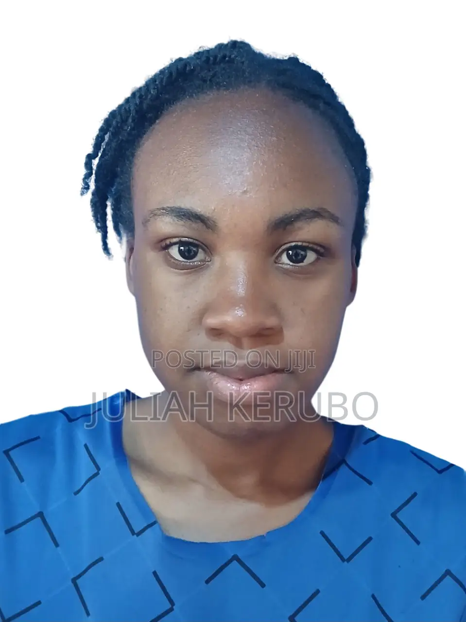 Housekeeping Cleaning CV