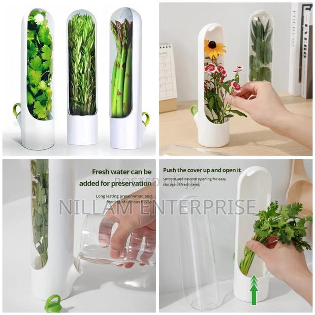 Herb/Dhania Fridge Storage Container.