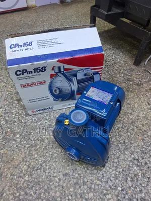 Pedrollo Water Pump 1hp
