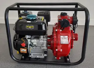 Gasoline Water Pump