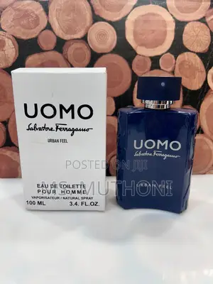 Uomo Salvatore Ferragamo Urban Feel Tester