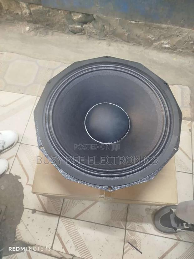 Coil 125 Pd 18 Naked Speaker - main view