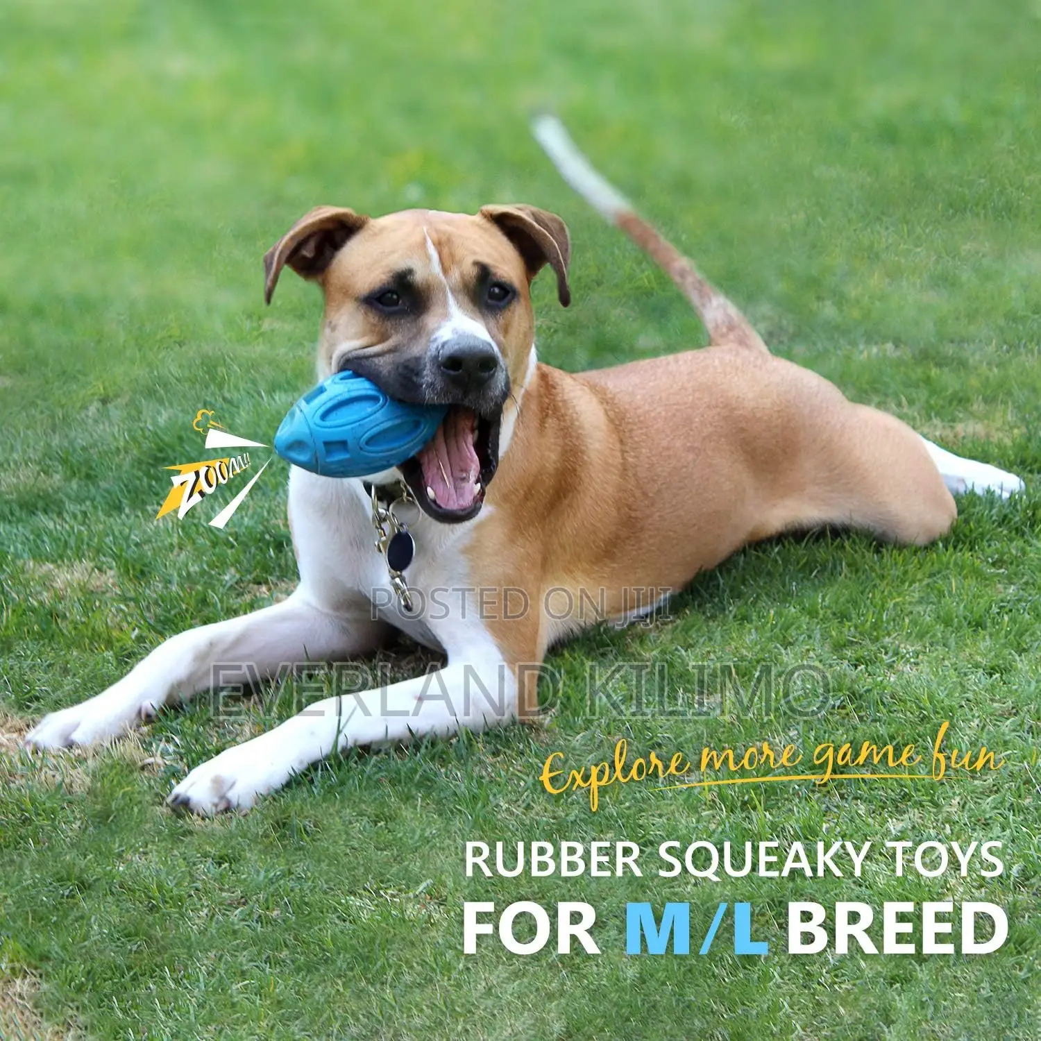 Rubber Puppy Chew Ball With Squeaker