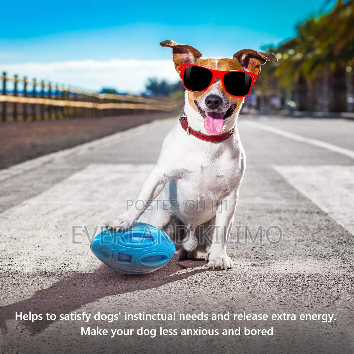 Squeaky Dog Ball Toy for Aggressive Chewers