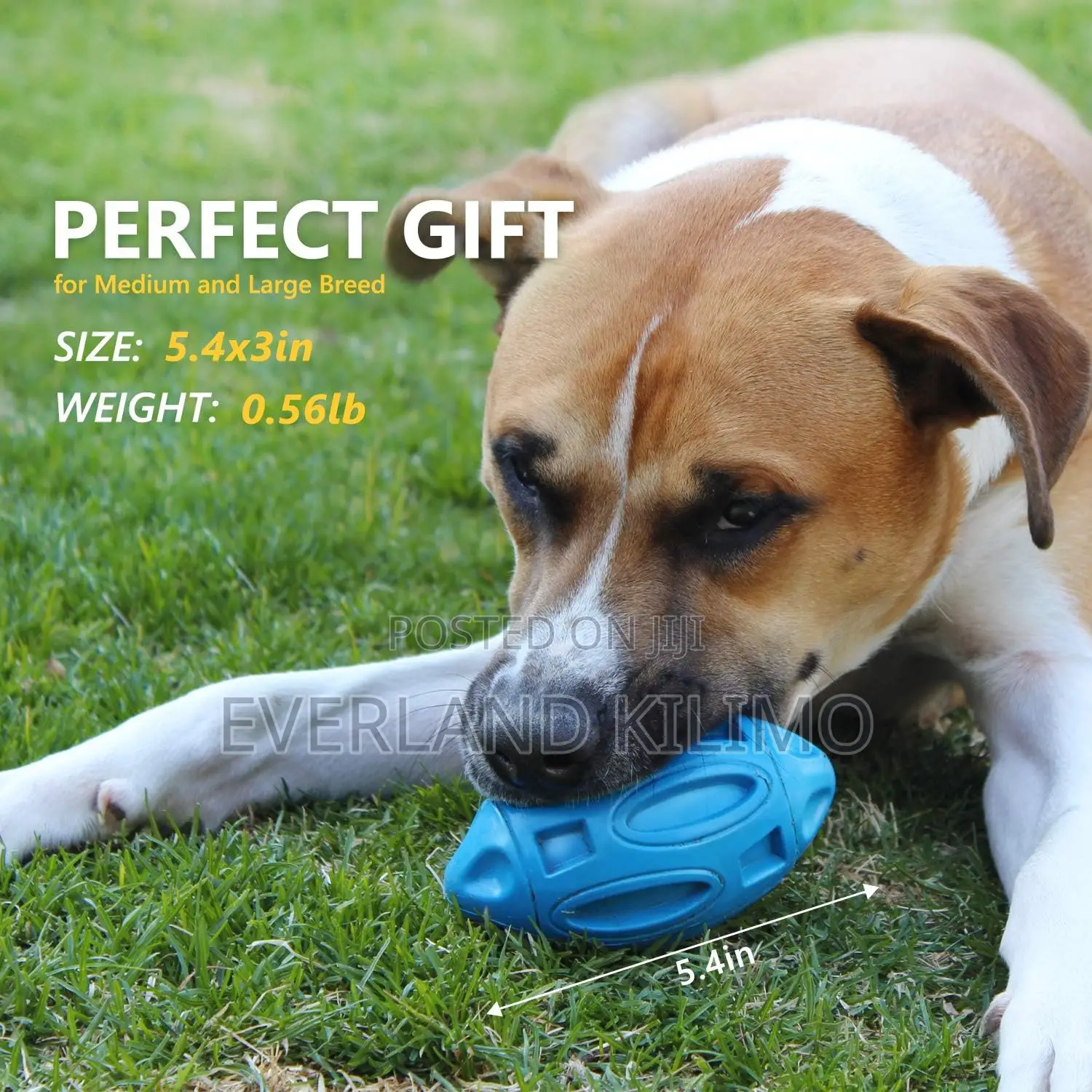 Squeaky Ball for Interactive Fetching