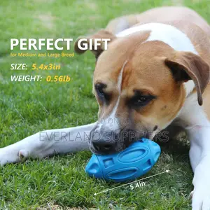 Squeaky Ball for Interactive Fetching
