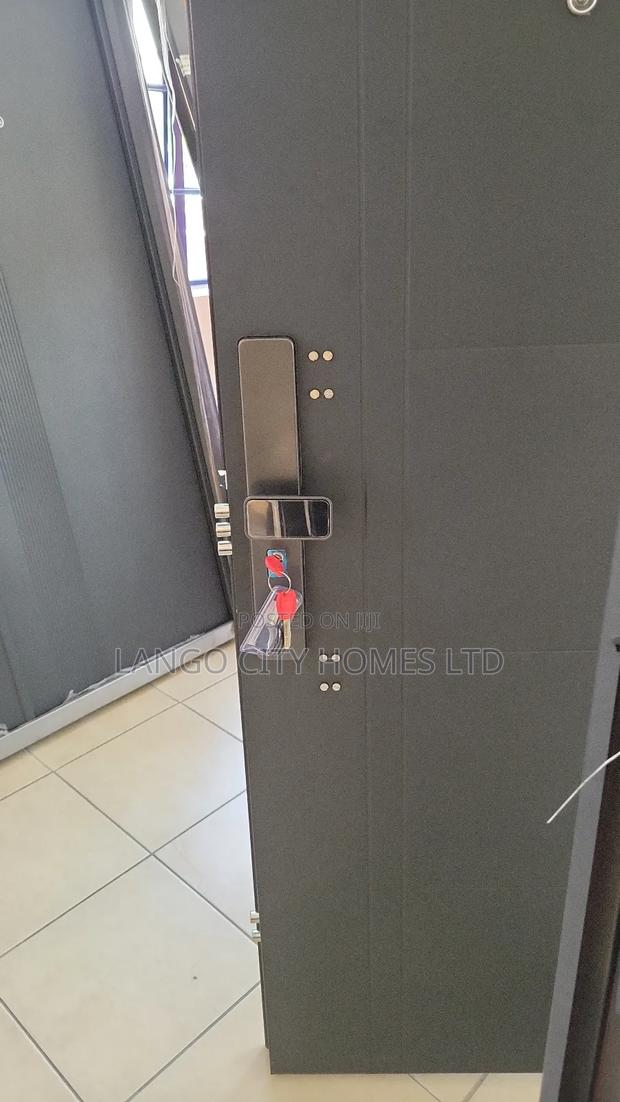 Modern Steel Doors for Apartments - thumbnail 2
