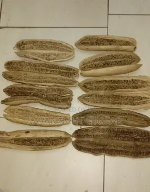 Dried Miratina Fruits Kigelia Africana Sausage Tree - 10 PCS