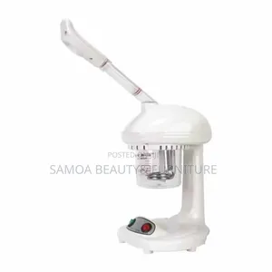 Facial Steamer