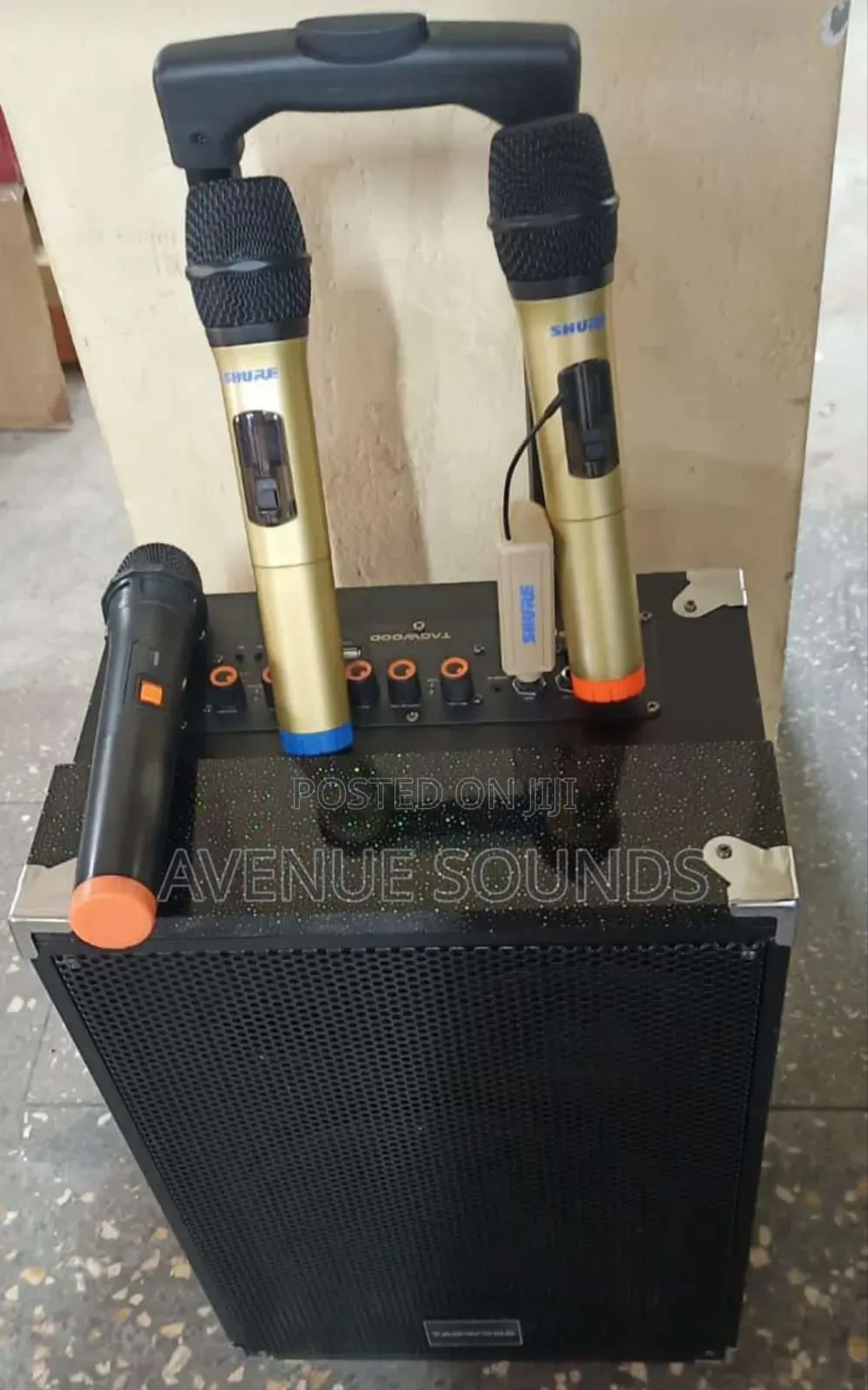 Portable 12 Inch Speaker With 3 Wireless