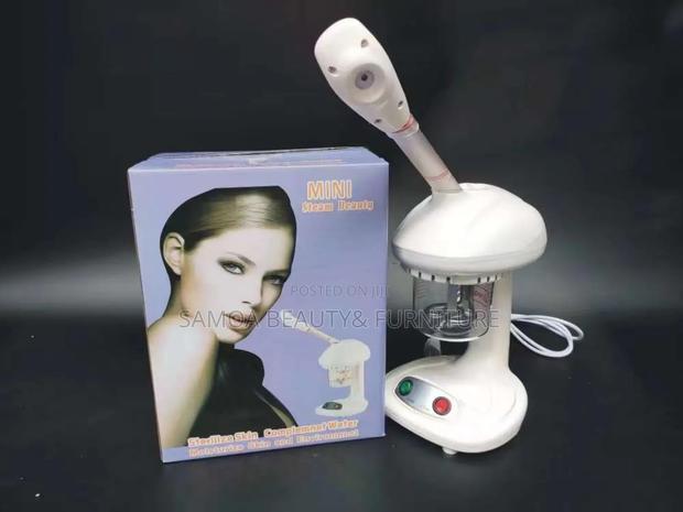Portable Facial Steamer