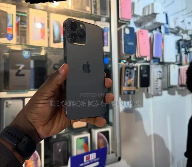 Apple iPhone 13 Pro Max 256 GB - main view