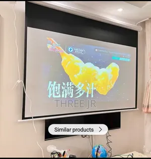 Remote Controlled Easy to Use Projector Screen
