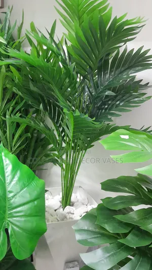Palm 80cm With Vase White