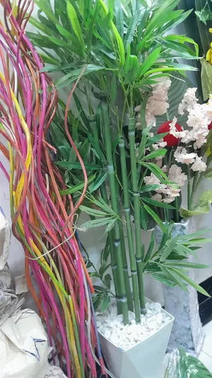 Bamboo Sticks Plus Vase White