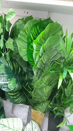 Stripped Plant in Wooden Vase 1.2m