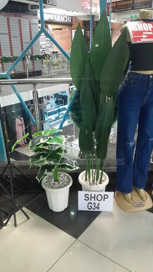 Banana Plant in Vase and Stones KSH 7500