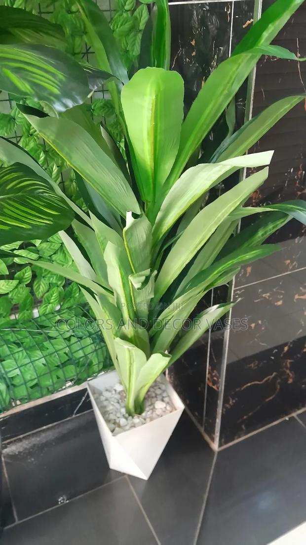 Spider 1.2m in Vase + Stones