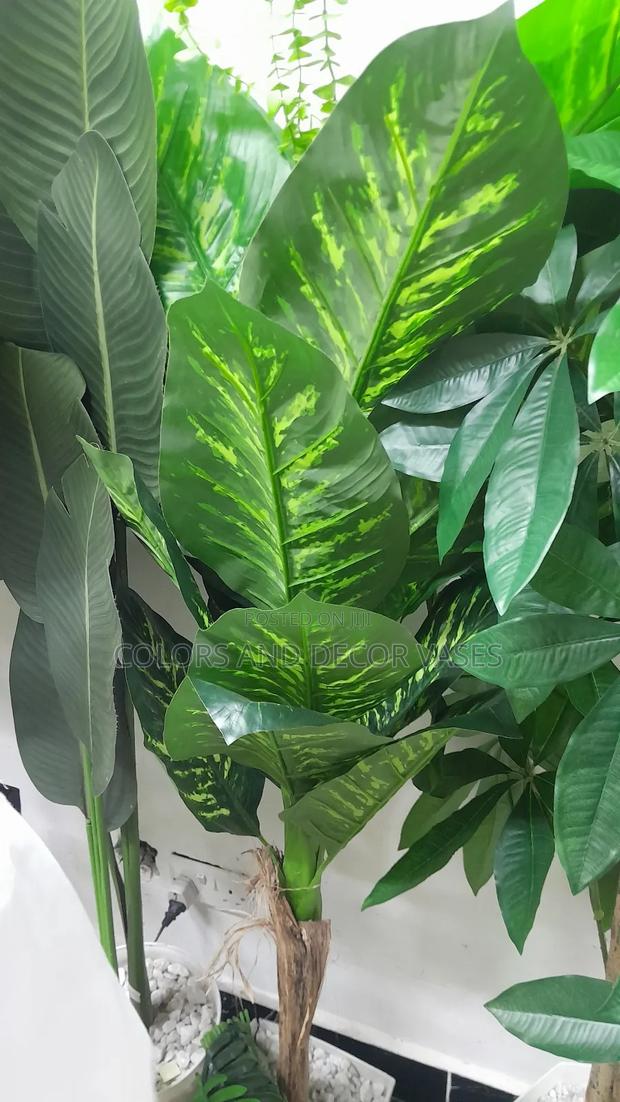 Yellow Green Plant 1.4m KSH With Vase - main view