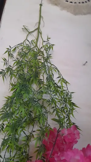 Wall Vines 