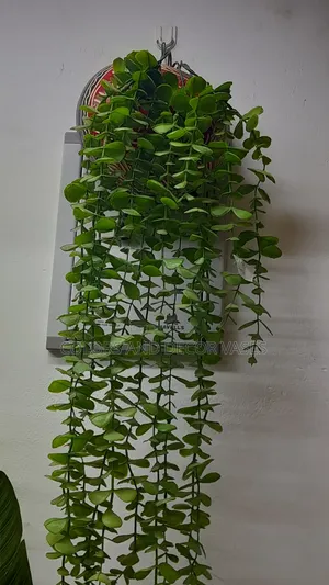 Calabash and Vines Wall Hangings
