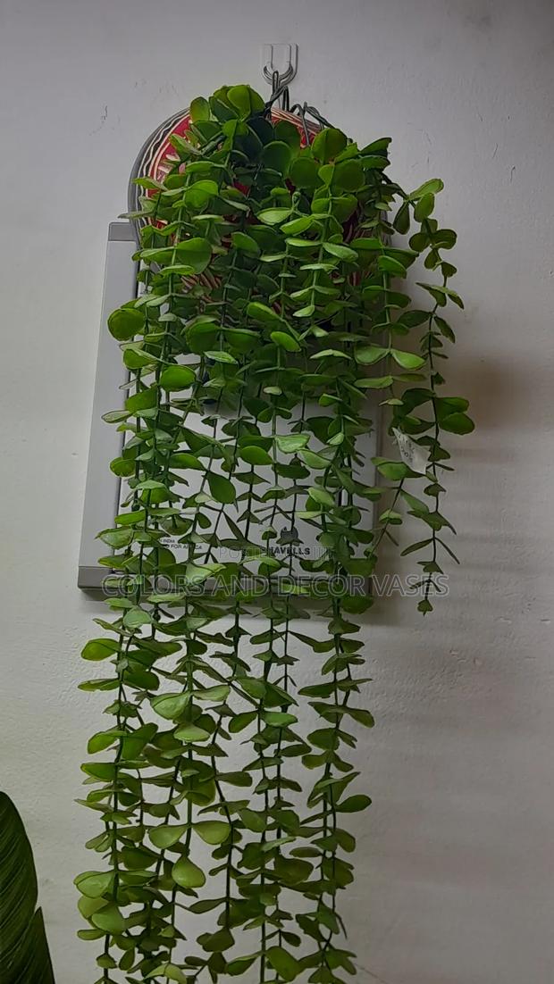 Calabash and Vines Wall Hangings
