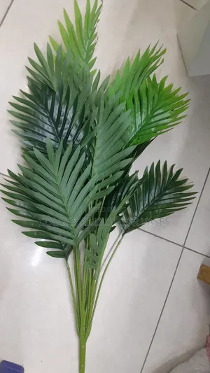 Palm 80cm Beautiful Piece for Home Decor