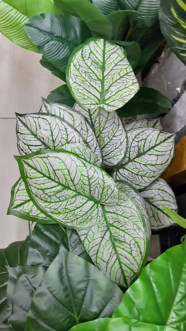 White Flowered Plant 80cm