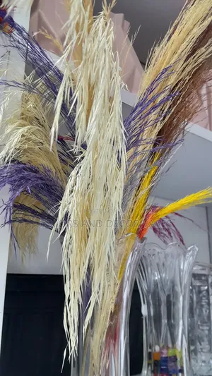 Pampas 5pcs 150