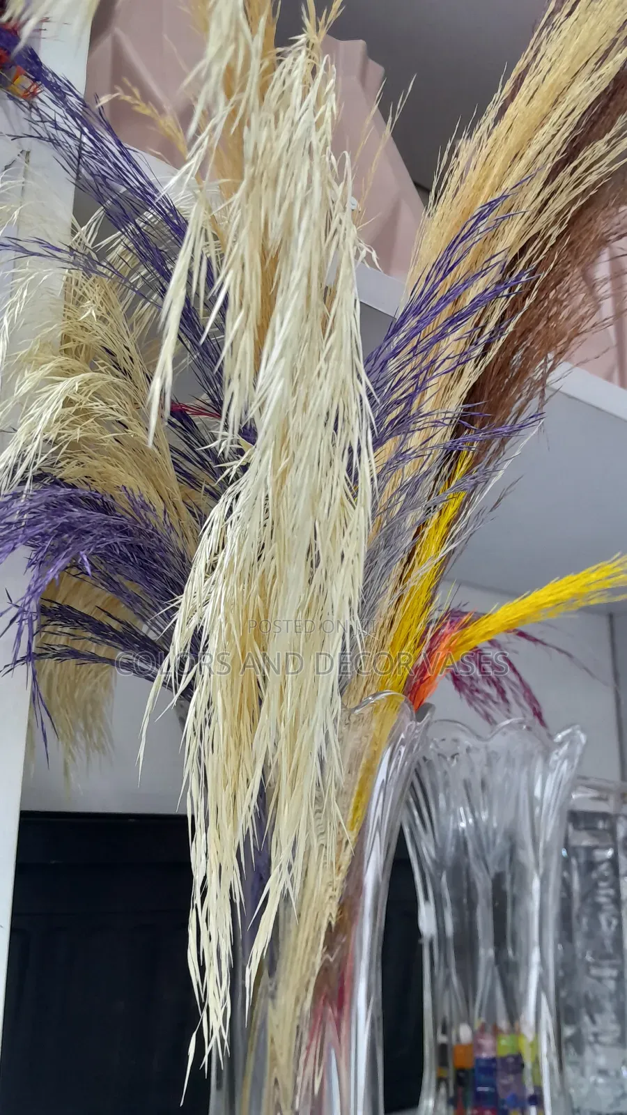 Pampas 5pcs 150